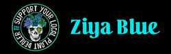 Ziya Blue